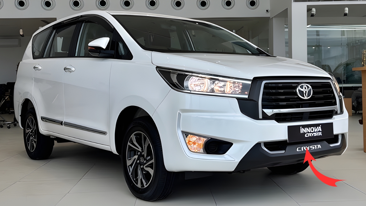 WhatsApp Image 2026-02-19 at 21.03